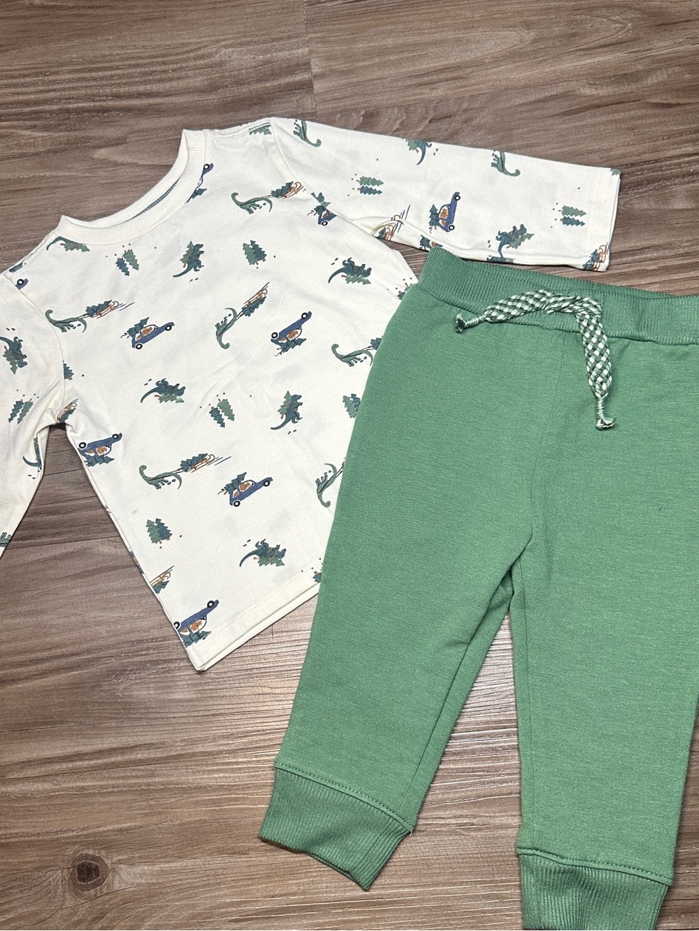 Tahari New Cream Cozy Babyboy 12M Dinosaur Long Sleeve with Green Warm Pants